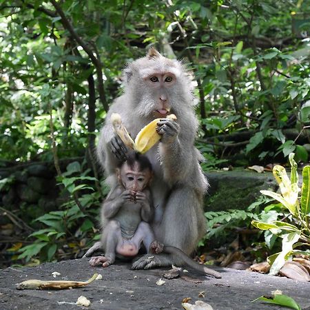 Pondok Penestanan Villa Ubud Dış mekan fotoğraf