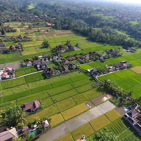 Pondok Penestanan Villa Ubud Dış mekan fotoğraf