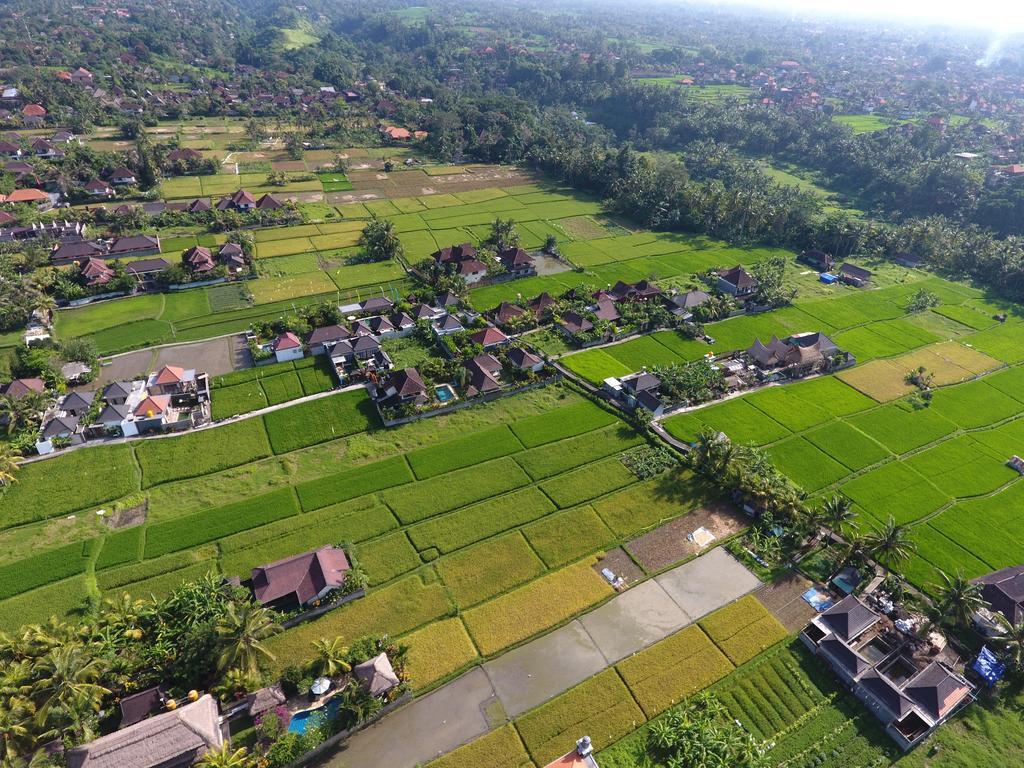 Pondok Penestanan Villa Ubud Dış mekan fotoğraf